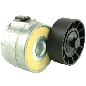 Spannrolle des Herstellers FAST - Originalware Artikelnummer: FT44613