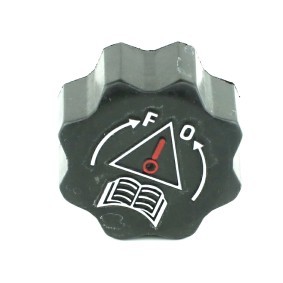 Achetez des Bouchon de liquide de refroidissement FAST FT94726 à prix pour 6,91 €