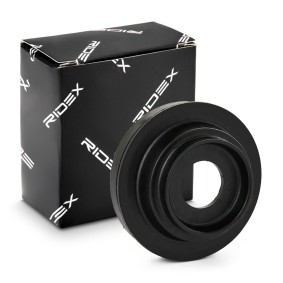 Compre Rolamento de rolos, suporte apoio do conj. mola / amortecedor da RIDEX 1626F0047 a um preço baixo por 13,02 €