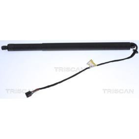 Heckklappendämpfer 8710 17302 von TRISCAN günstig für 216,11 € online kaufen