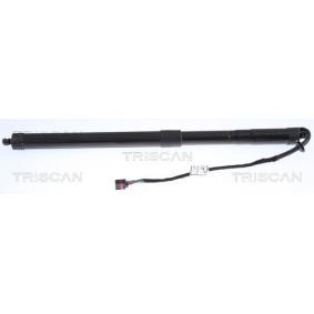 Heckklappendämpfer 8710 17303 von TRISCAN günstig für 213,18 € online kaufen