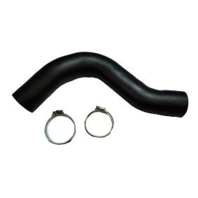 Compre Tubo flexível do ar de sobrealimentação da BUGIAD 81881 a um preço baixo por 39,16 €