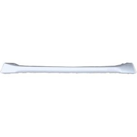 Compre Friso de para-choques de DIEDERICHS online para X1 (E84) a preços moderados