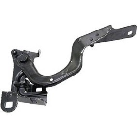 Comprar Bisagra, capó del motor de DIEDERICHS 4406018 a bajo precio de 41,59 €