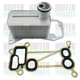 Acquista Radiatore olio motore da HOFFER 8095249 a buon mercato per soli 130,16 €