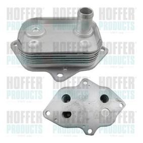Compre Radiador de óleo, óleo do motor da HOFFER 8095253 a um preço baixo por 100,54 €