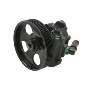 Compre Bomba de direção de LAUBER online para SPIDER (939) a preços moderados