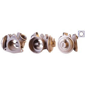 Comprar Válvula EGR de LUCAS LEV0258 a bajo precio de 194,45 €