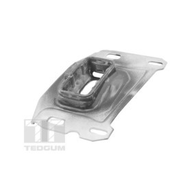 Halter, Motoraufhängung TED41199