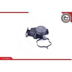 Compre Válvula, respiro do cárter da cambota da ESEN SKV 31SKV070 a um preço baixo por 42,40 €