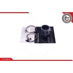 Acquista Tubo intercooler da ESEN SKV online per LAGUNA III Grandtour (KT0/1) a prezzi moderati