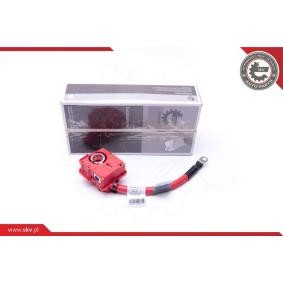Acquista Batteria da ESEN SKV online per 1 Hatchback (E81) a prezzi moderati