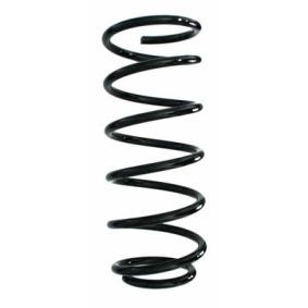 Fahrwerksfeder 87834 von SPIDAN günstig für 50,29 € online kaufen