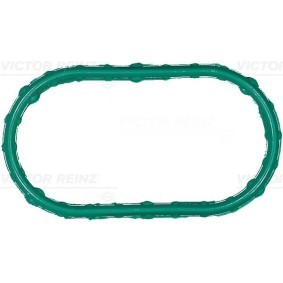 Compre Junta de coletor de admissão de REINZ online para XJ Sedan (X350, X358) a preços moderados