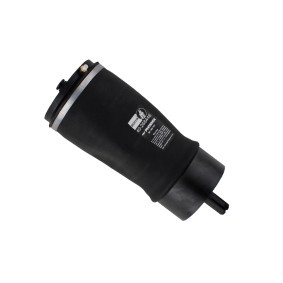 Achetez des Ressort pneumatique BILSTEIN 40-268446 à prix pour 469,52 €