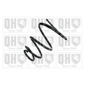 Acquista Molle ammortizzatori da QUINTON HAZELL QCS8773 a buon mercato per soli 143,80 €