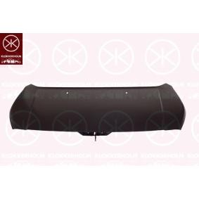Comprar Capó de KLOKKERHOLM 2508280 a bajo precio de 306,22 €