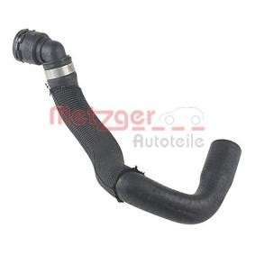 Kühlerschlauch 2420648 von METZGER günstig für 26,05 € online kaufen