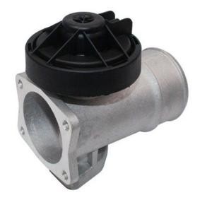 Compre Válvula EGR da MAGNETI MARELLI 571822112121 a um preço baixo por 76,30 €