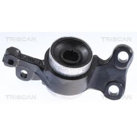 Compre Suspensão, braço oscilante da TRISCAN 8500 118010 a um preço baixo por 66,93 €
