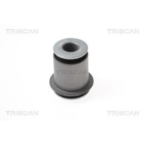 Comprar Suspensión, Brazo oscilante de TRISCAN 8500 13854 a bajo precio de 31,21 €