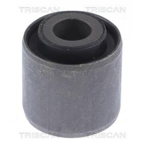 Compre Suspensão, braço oscilante da TRISCAN 8500 16873 a um preço baixo por 5,54 €