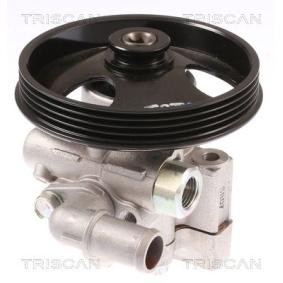 Compre Bomba de direção da TRISCAN 8515 21602 a um preço baixo por 323,15 €