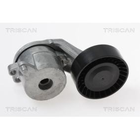 Spannarm, Keilrippenriemen 8641 103048 von TRISCAN günstig für 73,24 € online kaufen