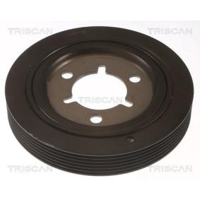Compre Polia, cambota da TRISCAN 8643 10022 a um preço baixo por 124,20 €