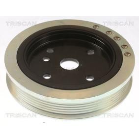 Compre Polia, cambota da TRISCAN 8643 27001 a um preço baixo por 196,27 €