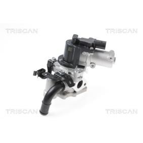 Comprar Válvula EGR de TRISCAN 8813 43017 a bajo precio de 223,46 €
