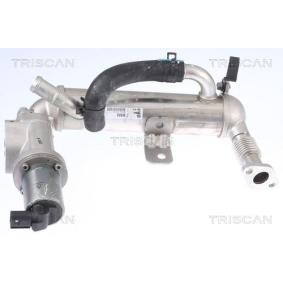 Comprar Válvula EGR de TRISCAN 8813 43041 a bajo precio de 446,77 €