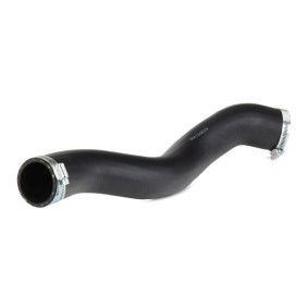 Compre Tubo flexível do ar de sobrealimentação da BUGIAD 81829 a um preço baixo por 33,23 €