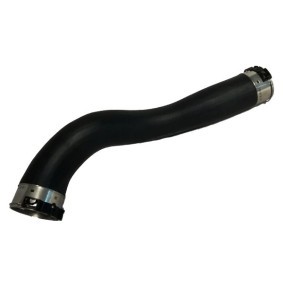 Compre Tubo flexível do ar de sobrealimentação da BUGIAD 81854 a um preço baixo por 71,95 €