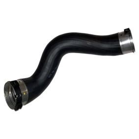 Compre Tubo flexível do ar de sobrealimentação da BUGIAD 81862 a um preço baixo por 67,24 €