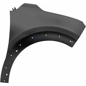 Acquista Parafango da DIEDERICHS online per C3 III Van / Hatchback (SX, SY) a prezzi moderati