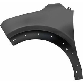 Acquista Parafango da DIEDERICHS online per C3 III Van / Hatchback (SX, SY) a prezzi moderati