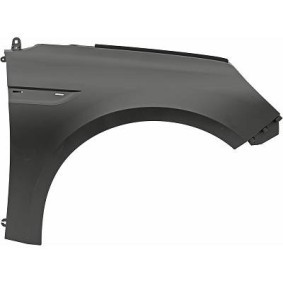 Compre Guarda-lamas de DIEDERICHS online para Megane IV Sedan a preços moderados