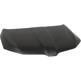 Comprar Capó de DIEDERICHS 7832100 a bajo precio de 262,20 €