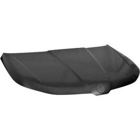 Comprar Capó de DIEDERICHS 7880000 a bajo precio de 386,98 €