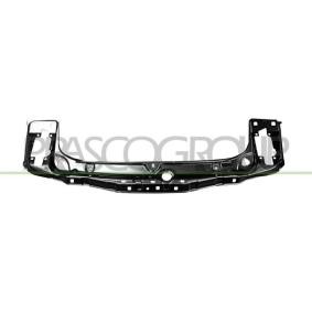 Compre Painel de radiador de PRASCO online para 1 Hatchback (F20) a preços moderados