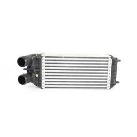 Compre Intercooler da BSG BSG 70-535-001 a um preço baixo por 136,36 €