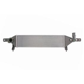 Ladeluftkühler DA1004TT von THERMOTEC günstig für 260,18 € online kaufen