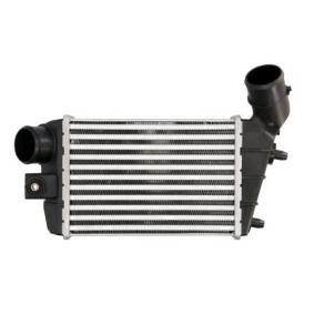 Ladeluftkühler DAD003TT von THERMOTEC günstig für 62,08 € online kaufen