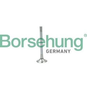 Acquista Valvola di scarico da Borsehung B19004 a buon mercato per soli 12,24 €