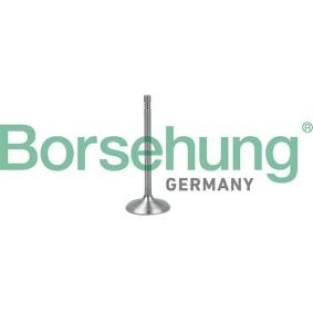 Einlaßventil B19017 von Borsehung günstig für 13,12 € online kaufen