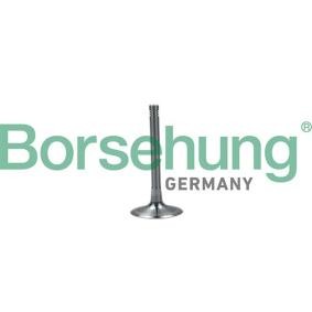 Acquista Valvola aspirazione da Borsehung online per A6 Allroad (4GH, 4GJ, C7) a prezzi moderati