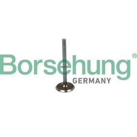 Einlaßventil B19030 von Borsehung günstig für 7,71 € online kaufen