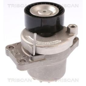 Spannrolle, Keilrippenriemen 8641 103051 von TRISCAN günstig für 114,60 € online kaufen