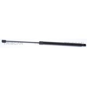 Heckklappendämpfer 8710 23253 von TRISCAN günstig für 18,50 € online kaufen